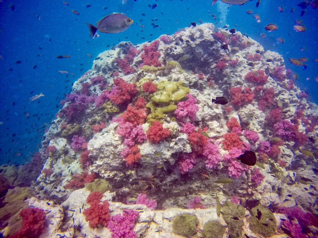 DCIM102GOPROGOPR5296.JPG